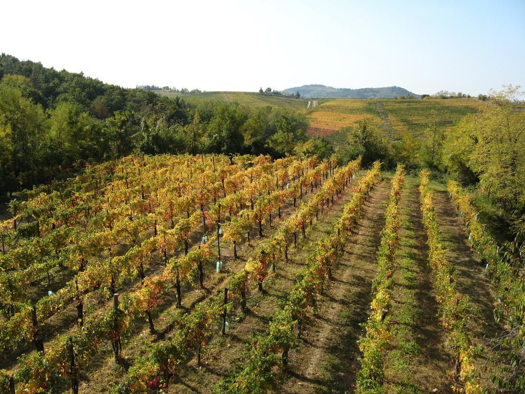 Bosco Romagno Βίλα Cividale del Friuli Εξωτερικό φωτογραφία